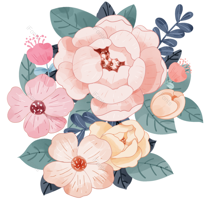 母亲节图片,牡丹花元素,夏天PNG,水彩画免抠素材